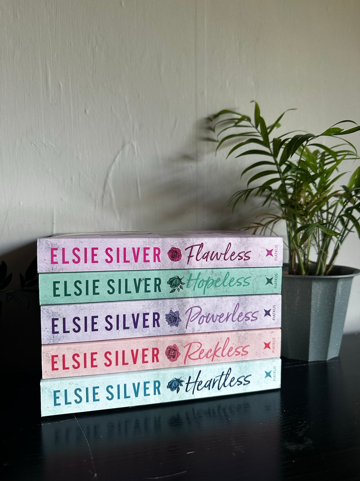 Elsie Silver Chestnut Springs serie (5 boeken), Ophalen of Verzenden, Nieuw, Wereld overig