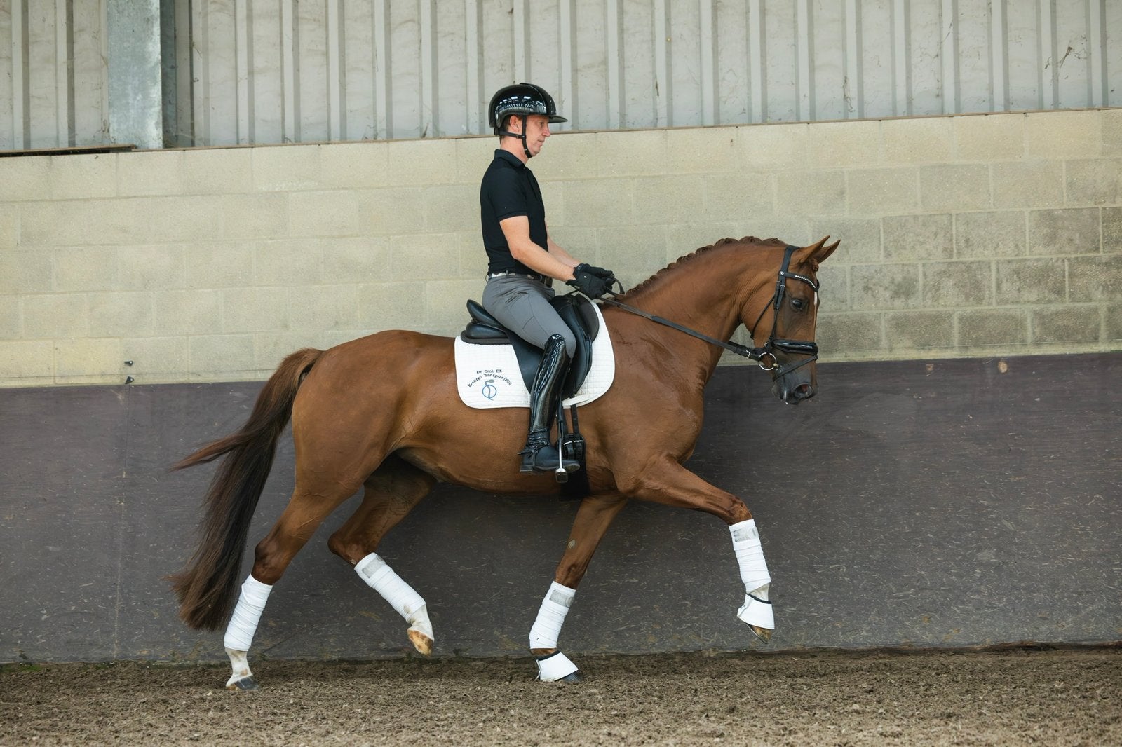 Stoere 4 jarige merrie., Merrie, Dressuurpaard, 3 tot 6 jaar