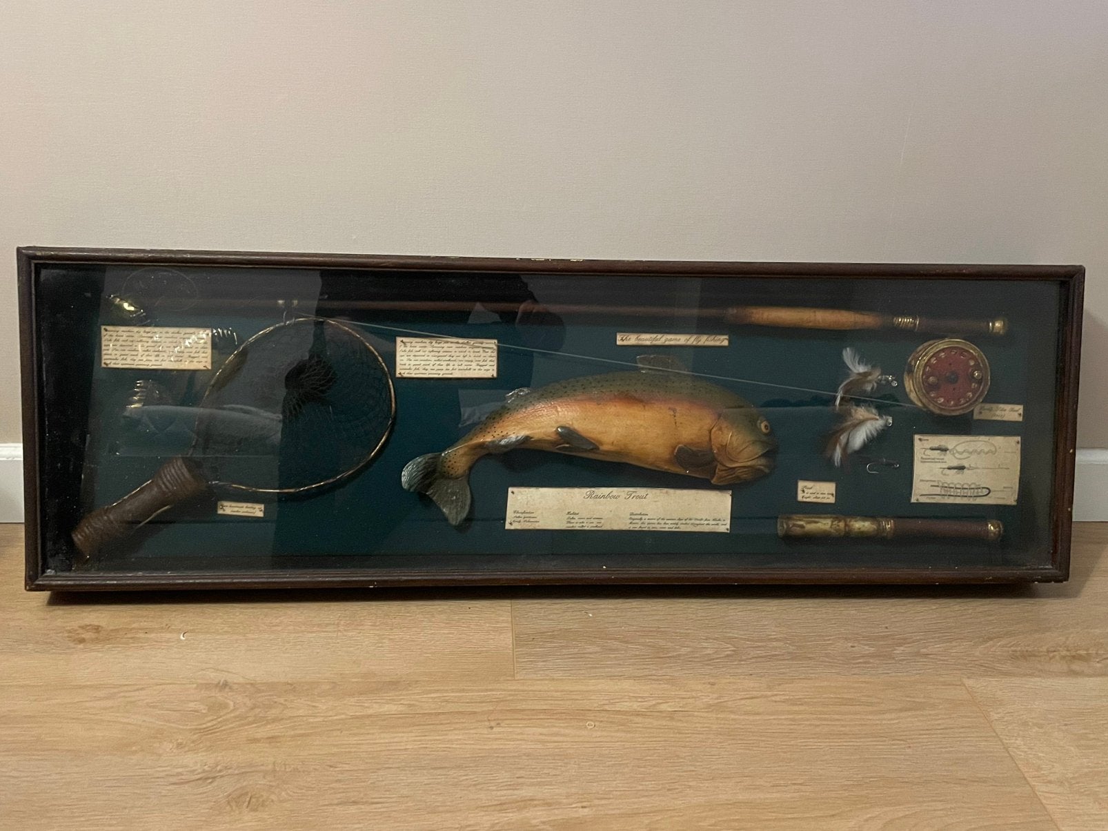 Uniek Mid-century Rainbow Trout Diorama (105 cm) - 9,3 kg, Watersport en Boten, Ophalen, Gebruikt, Overige typen
