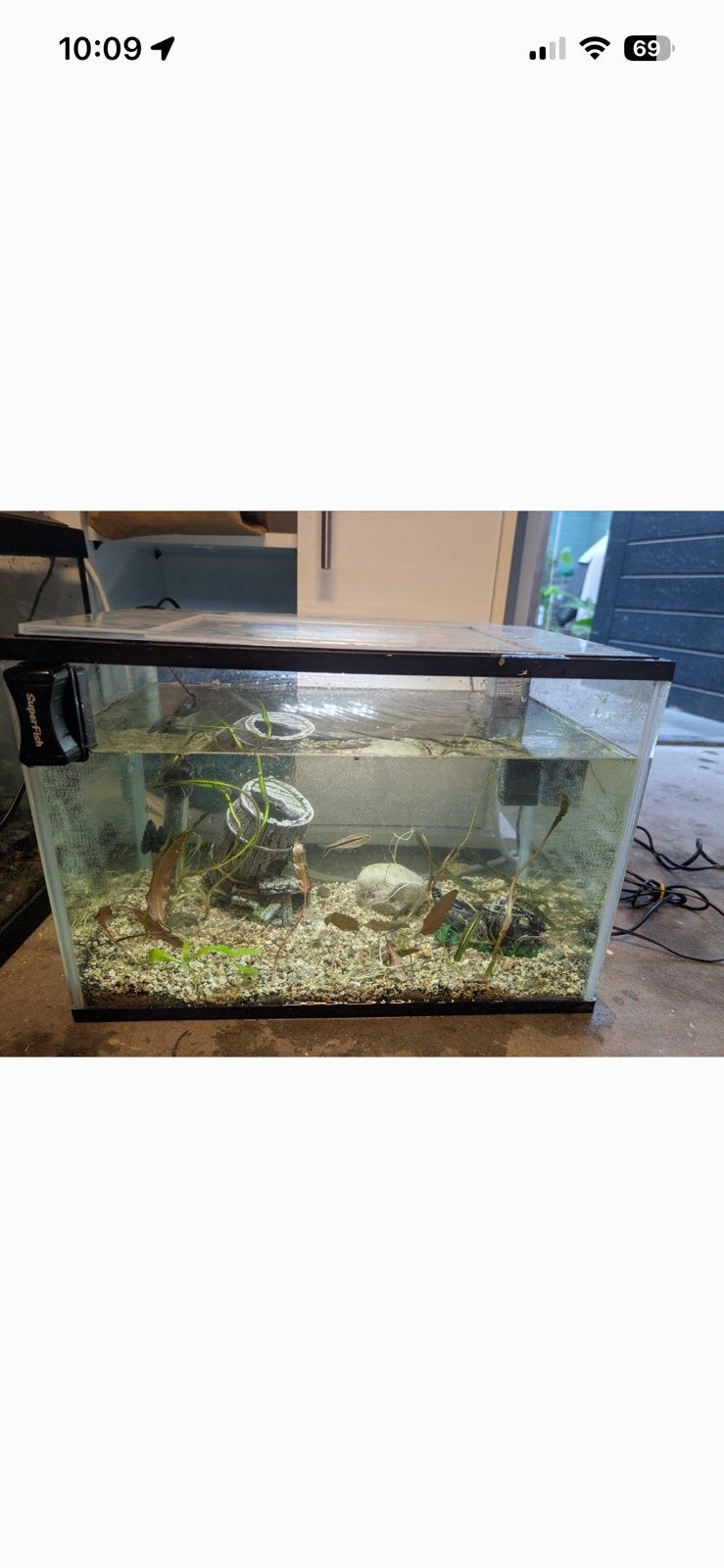 Aquirium met vis, Dieren en Toebehoren, Vissen | Aquaria en Toebehoren, Ophalen of Verzenden, Zo goed als nieuw