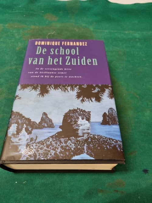 boek de school van het zuiden, Boeken, Ophalen of Verzenden