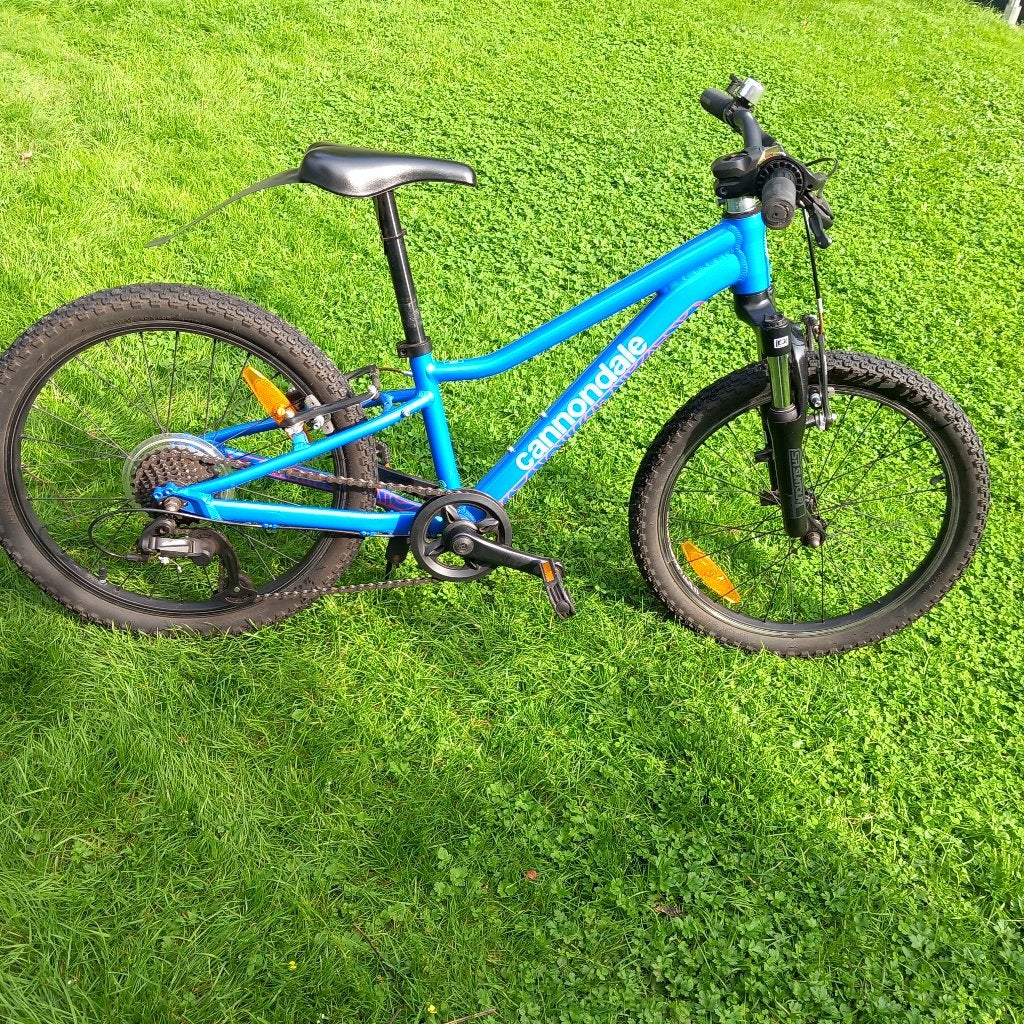 Cannondale kinder fiets  voor kids  ongeveer 117 tot 130 cm., 20 inch of meer, Gebruikt, Schijfrem, Ophalen