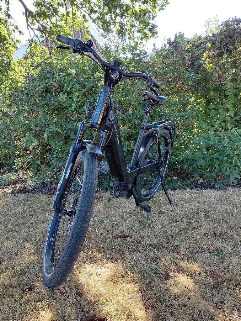 Riese & Müller met belt, Fietsen en Brommers, Elektrische fietsen, Gebruikt, 47 tot 51 cm, 50 km per accu of meer, Ophalen