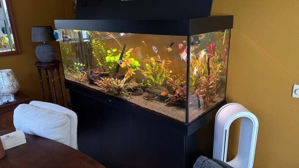 Prachtig Aquarium, Dieren en Toebehoren, Ophalen, Zo goed als nieuw, Leeg aquarium