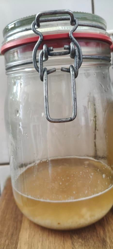 Waterkefir korrels., Ophalen