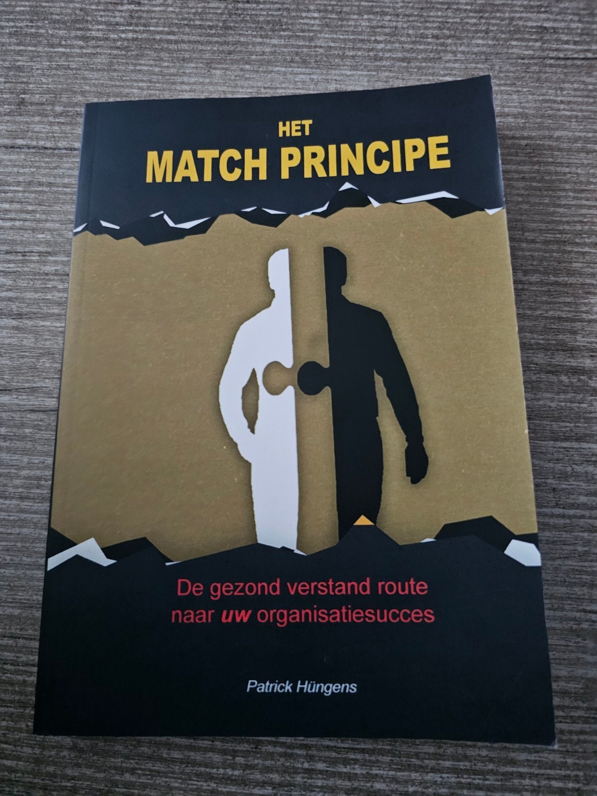 Het Match Principe - Patrick Hüngens, Ophalen of Verzenden, Gelezen, Patrick Hüngens