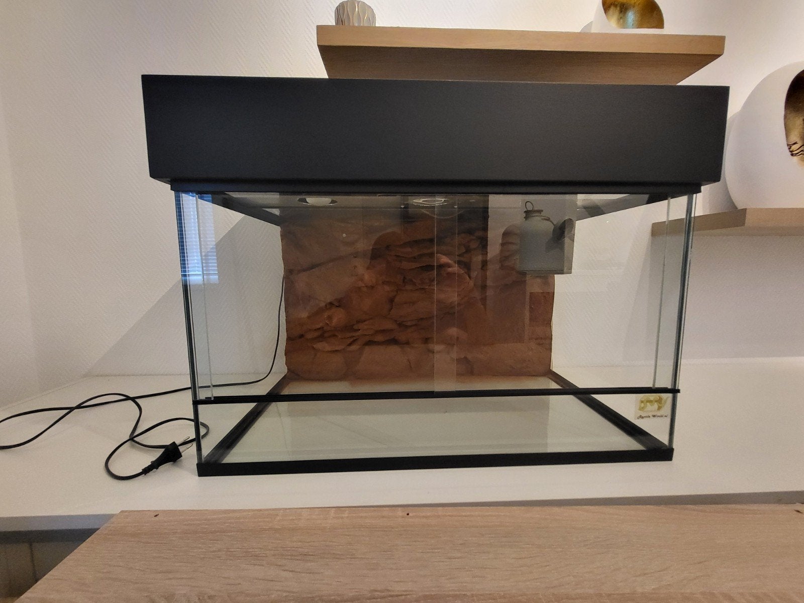 Terrarium met verlichting, Dieren en Toebehoren, Ophalen