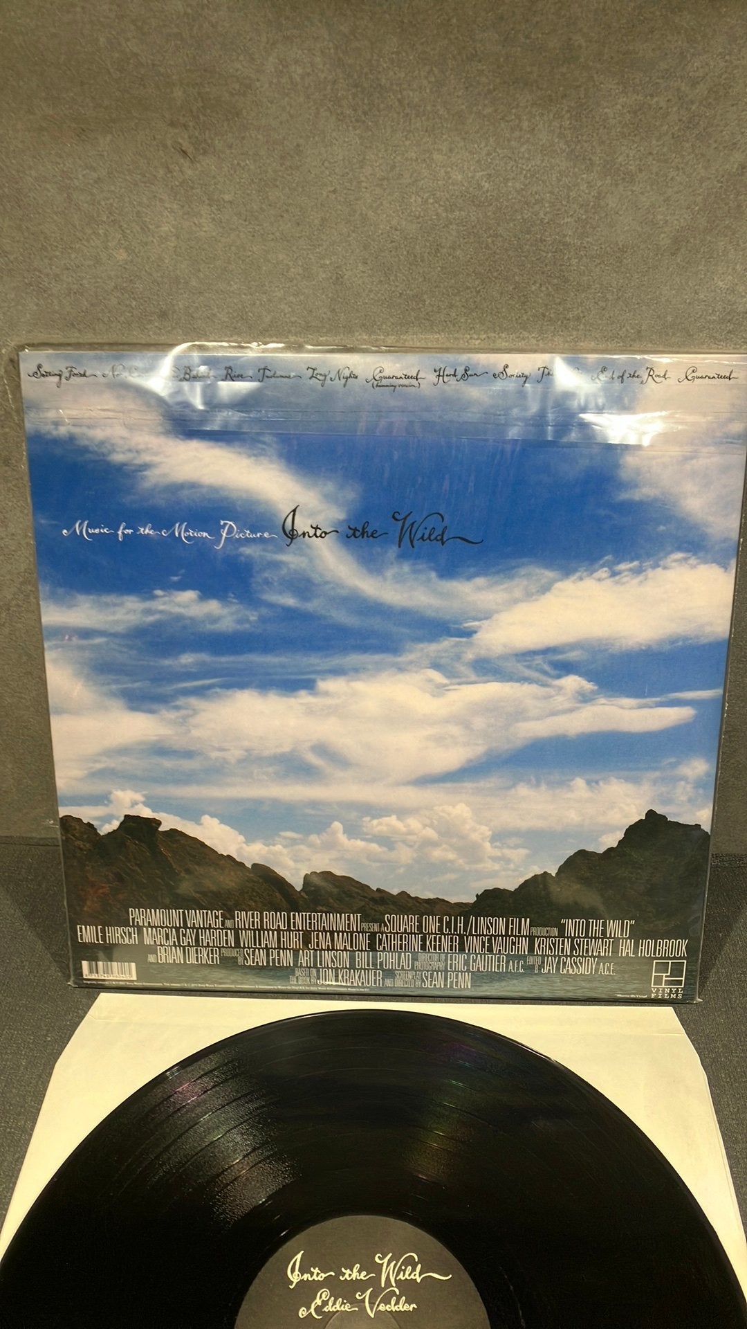 Eddie Vedder. —  Into The Wild, Ophalen of Verzenden, Zo goed als nieuw, 12 inch, Folk Rock