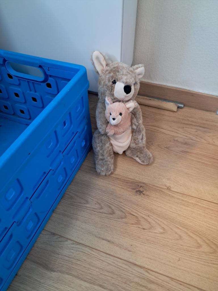 Diverse knuffels:oa. kangoeroe, olifant, panter., Kinderen en Baby's, Speelgoed | Knuffels en Pluche, Gebruikt, Ophalen of Verzenden