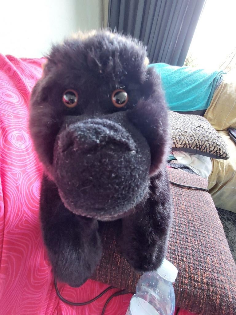 Zwarte gorilla knuffel, Ophalen of Verzenden