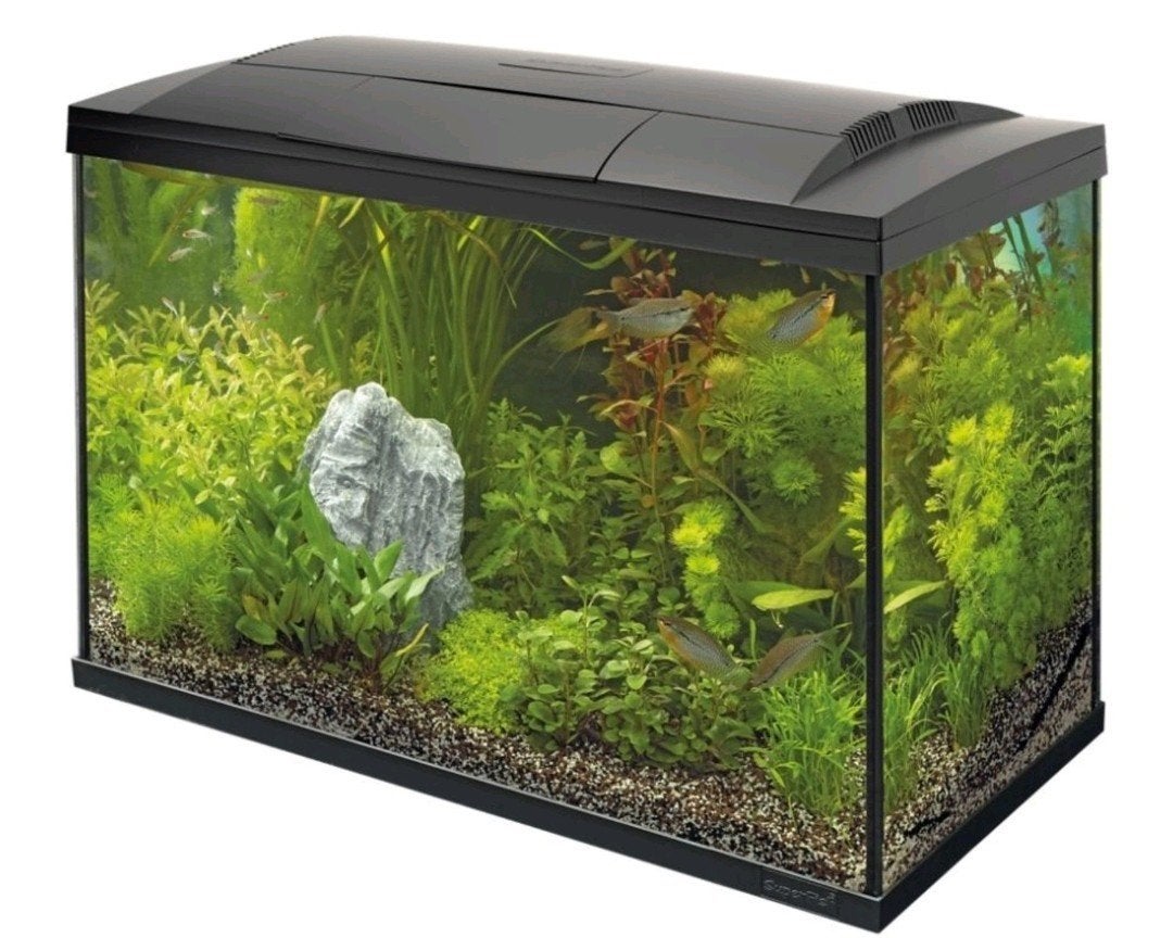 Superfish Start 150 Tropical Kit, Dieren en Toebehoren, Ophalen of Verzenden