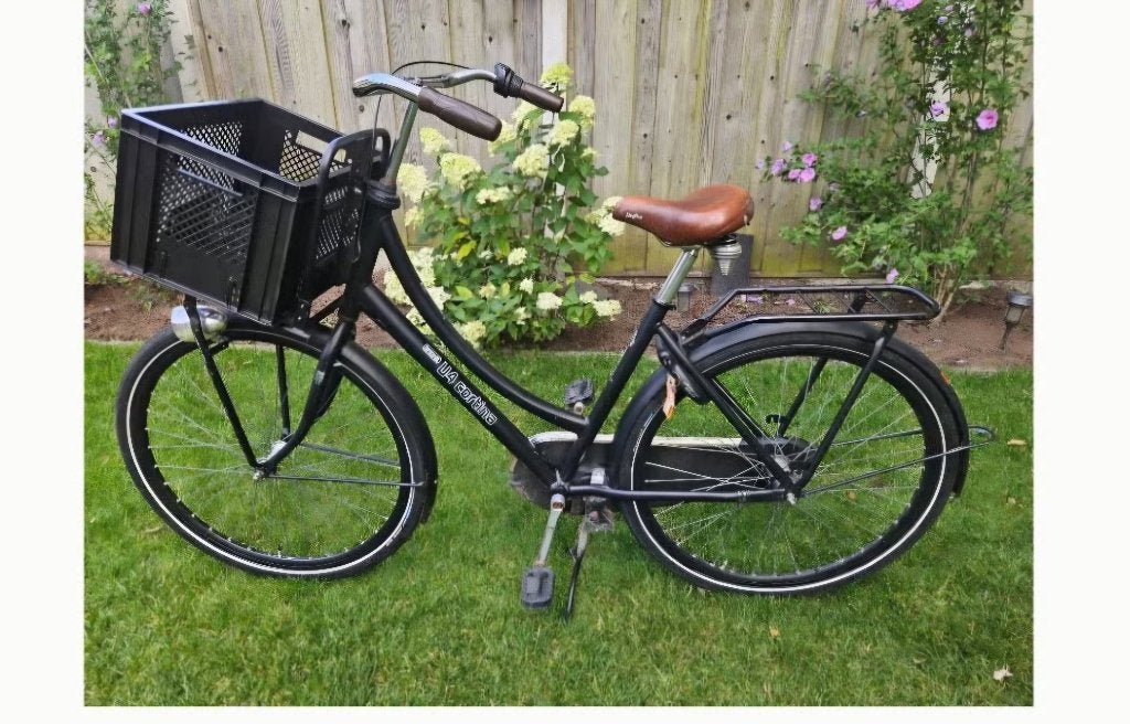 Cortina u4 meisjes fiets, Ophalen, Terugtraprem, Cortina, Handrem