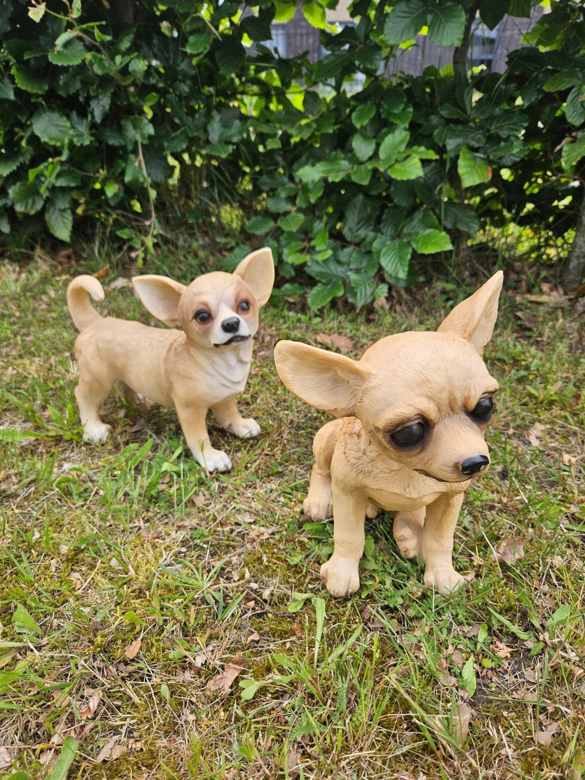 CHIHUAHUA DECORATIE HONDJES , BEELDEN , NIEUW, Ophalen of Verzenden, Nieuw, Dier