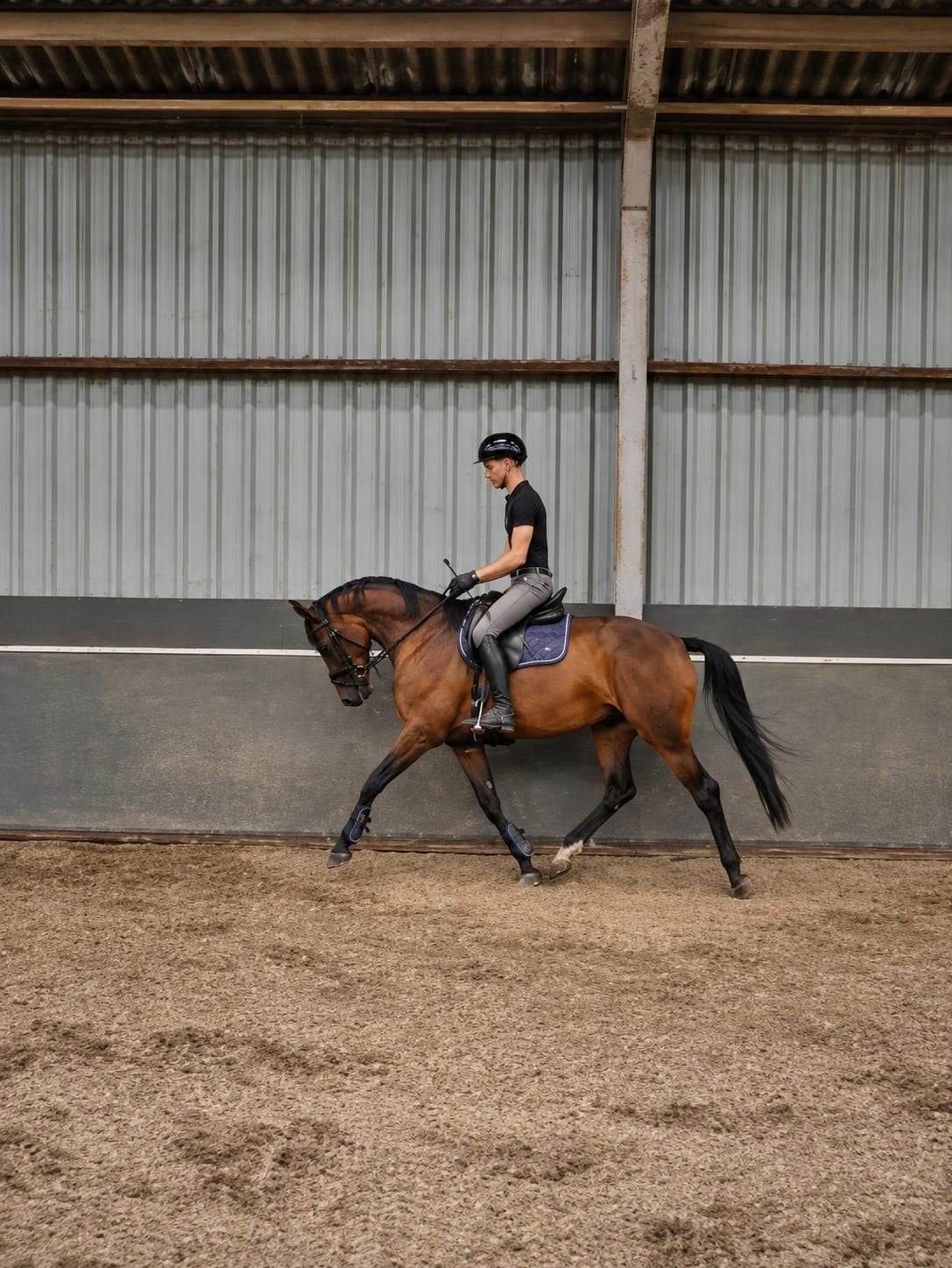 talentvolle merrie/filmpje op aanvraag!, Dieren en Toebehoren, Merrie, Dressuurpaard, 3 tot 6 jaar