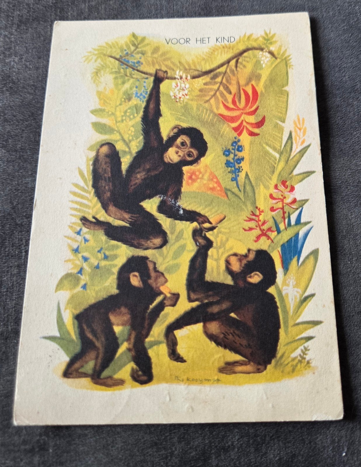 Apen - Th. Kooyman - Voor het Kind, Verzamelen, Verzenden, 1960 tot 1980, Gelopen, Kinderen