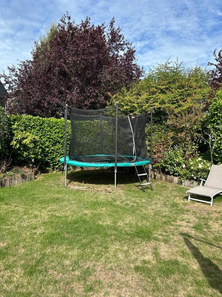 Foto 3 van BERG Favorit Trampoline 330 cm