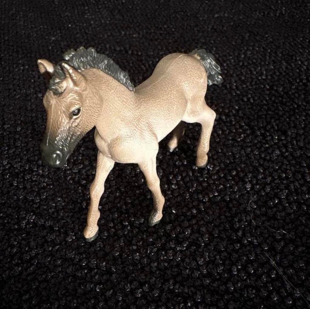 Schleich Criollo Definitivo Veulen - 13949, Ophalen of Verzenden, Zo goed als nieuw
