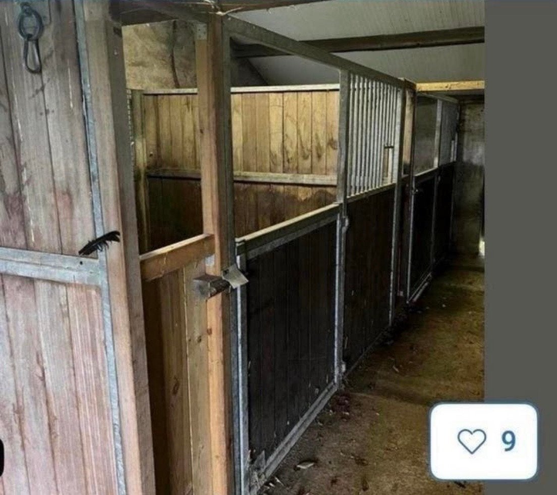Paardenboxen, Dieren en Toebehoren