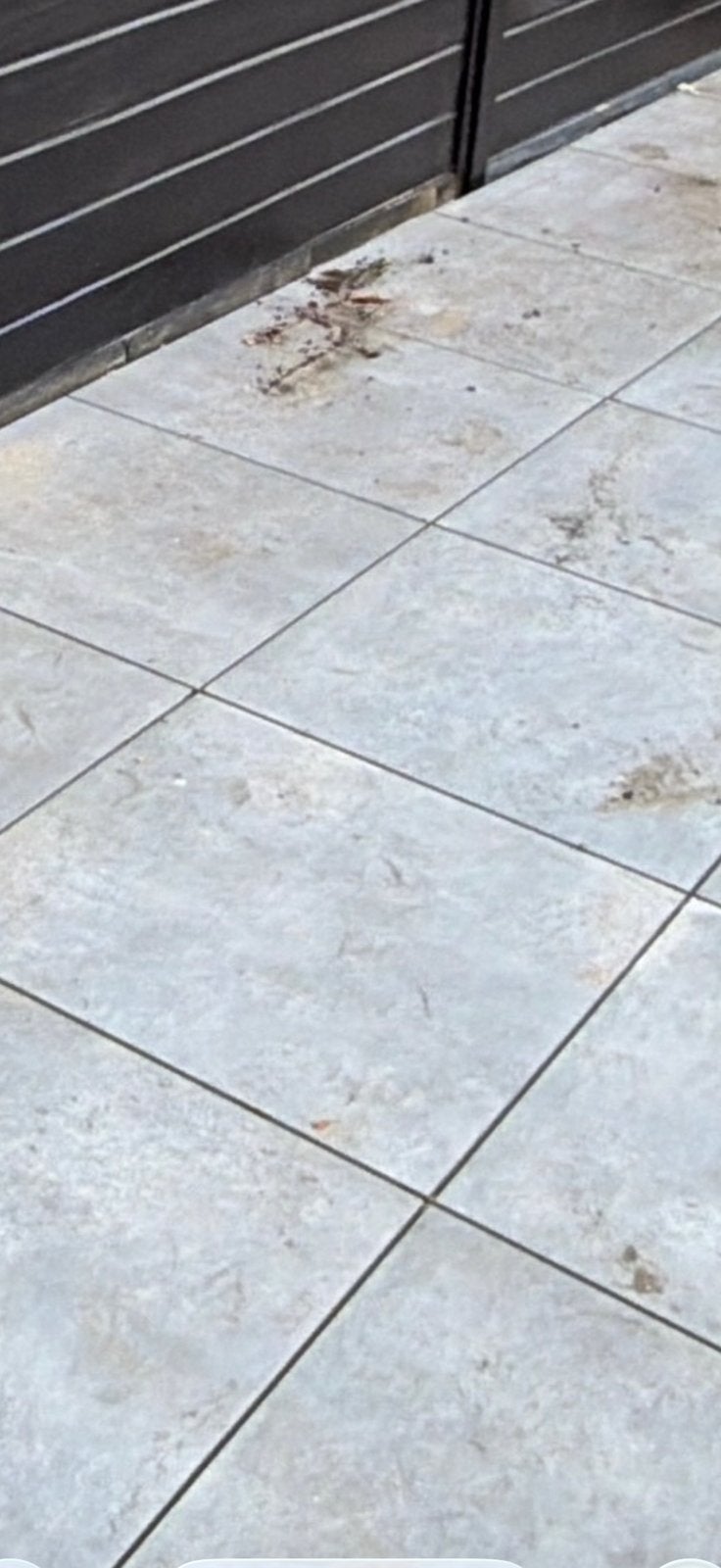 20 Grijze tuintegels, 60x60 cm, keramisch, Ophalen, 60 cm of meer, Nieuw, 10 m² of meer
