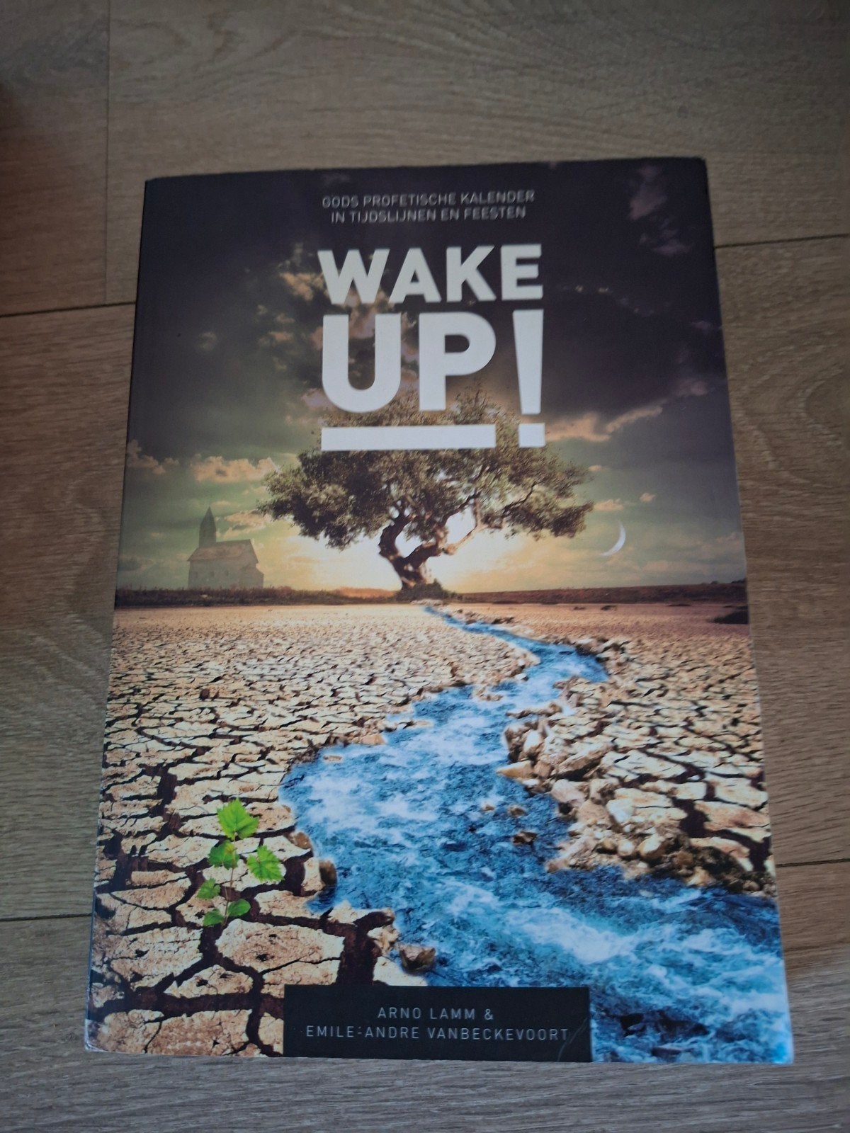 Arno Lamm - Wake up!, Ophalen of Verzenden, Zo goed als nieuw, Arno Lamm; Emile-Andre Vanbeckevoort