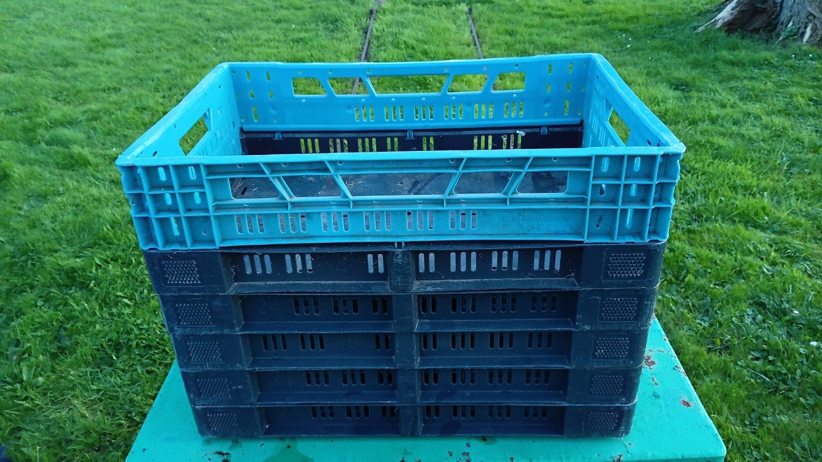 Opvouwbare kratten , vouwkratten, Gebruikt, 40 tot 60 cm, Opvouwbaar, 50 tot 75 cm