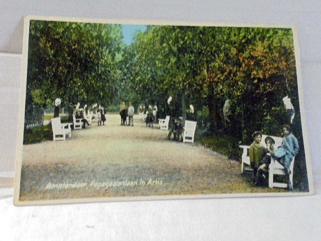 Amsterdam. Artis. Papegaaienlaan. ca 1920, Verzenden, Voor 1920, Ongelopen, Noord-Holland