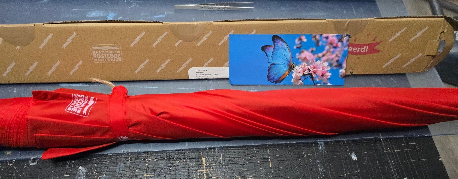 Nieuwe rode vlinderparaplu, Ophalen of Verzenden, Nieuw, Rood