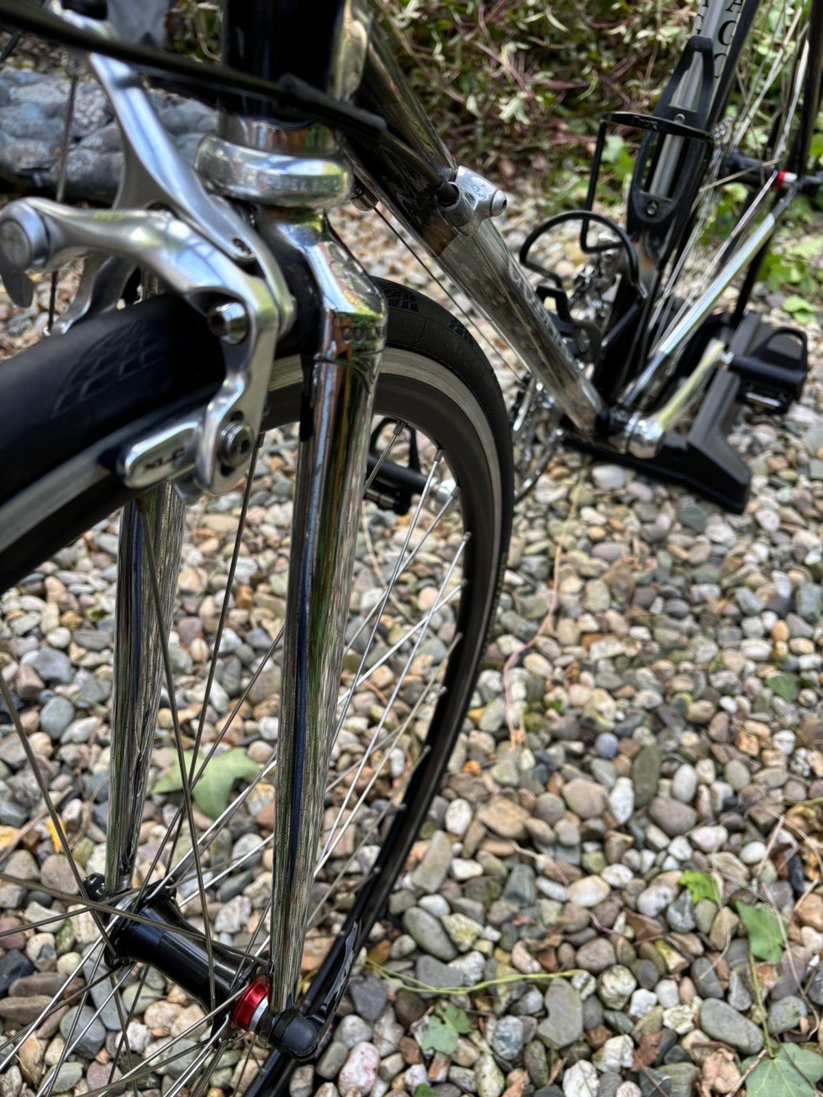 Foto 6 van Colnago Master Olympic 54cm - Art Decor - Topstaat