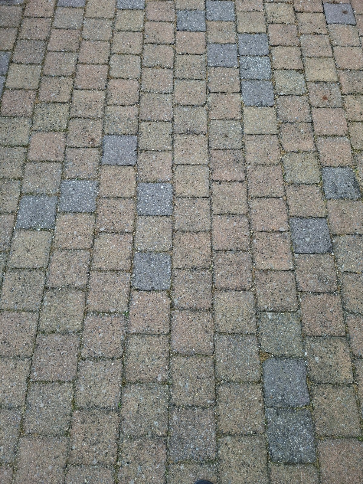 Gratis 15x15 stenen voor terras/pad (ca. 40m2), Tuin en Terras, Tegels en Klinkers, Ophalen