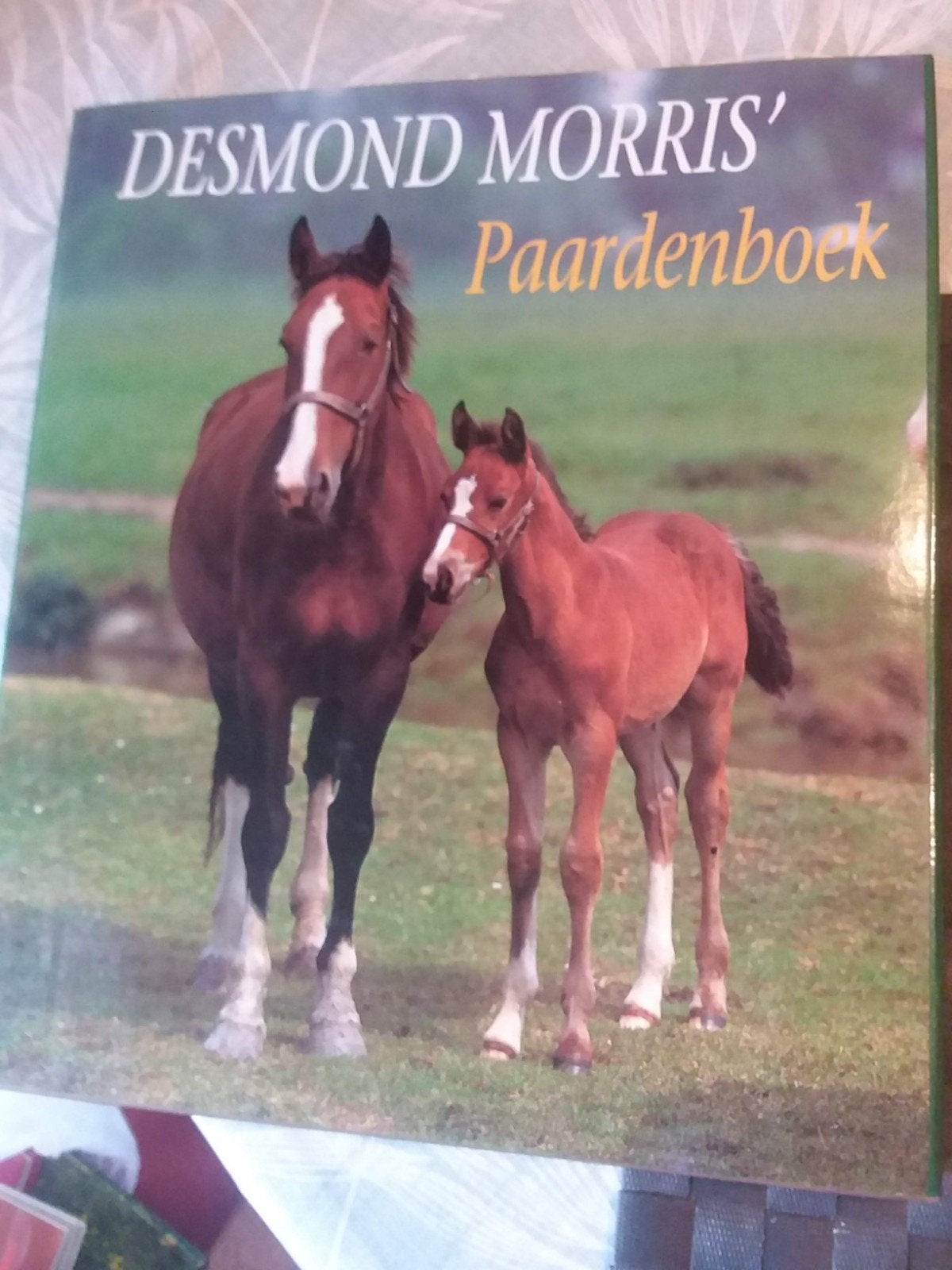 paardenboek, Boeken, Ophalen of Verzenden, Zo goed als nieuw, Paarden of Pony's
