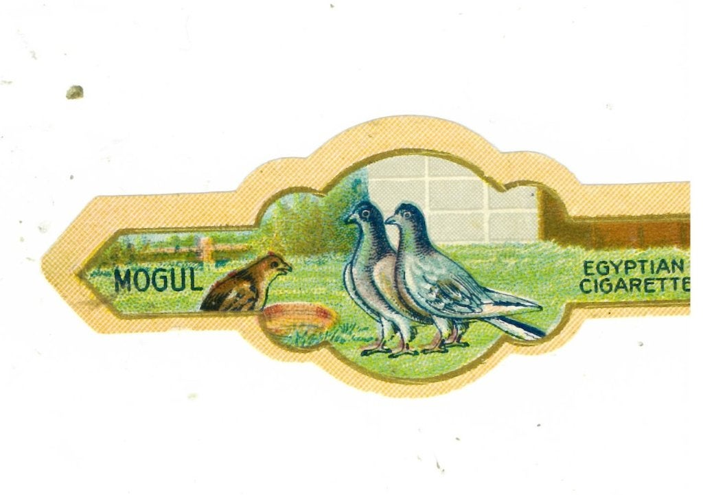 Turkis Egyptian n 914  de 2 pigeons, Ophalen of Verzenden, Sigarenbandjes