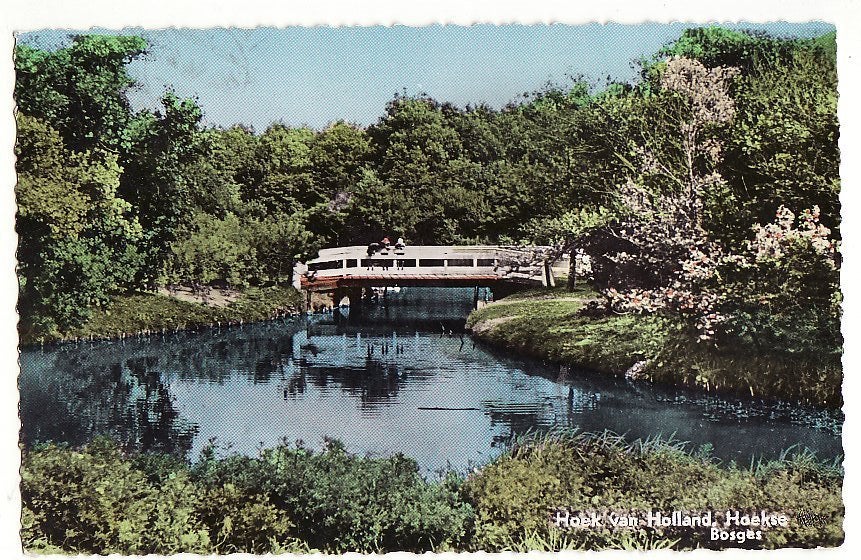 Hoek van Holland Hoekse bosjes 1962., Ophalen, 1940 tot 1960, Gelopen, Zuid-Holland