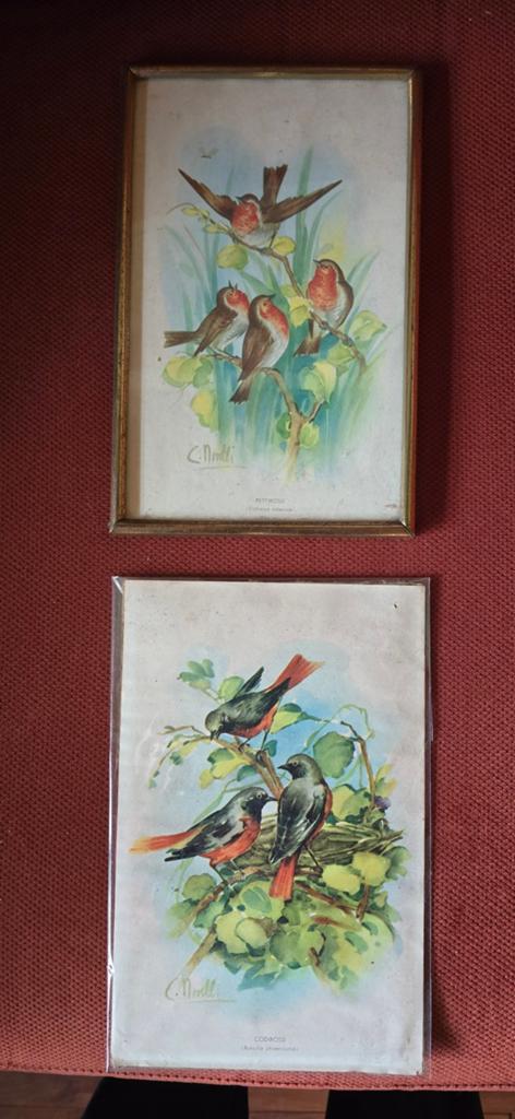 Twee leuke oude prenten vogels schilderij, Antiek en Kunst, Ophalen of Verzenden