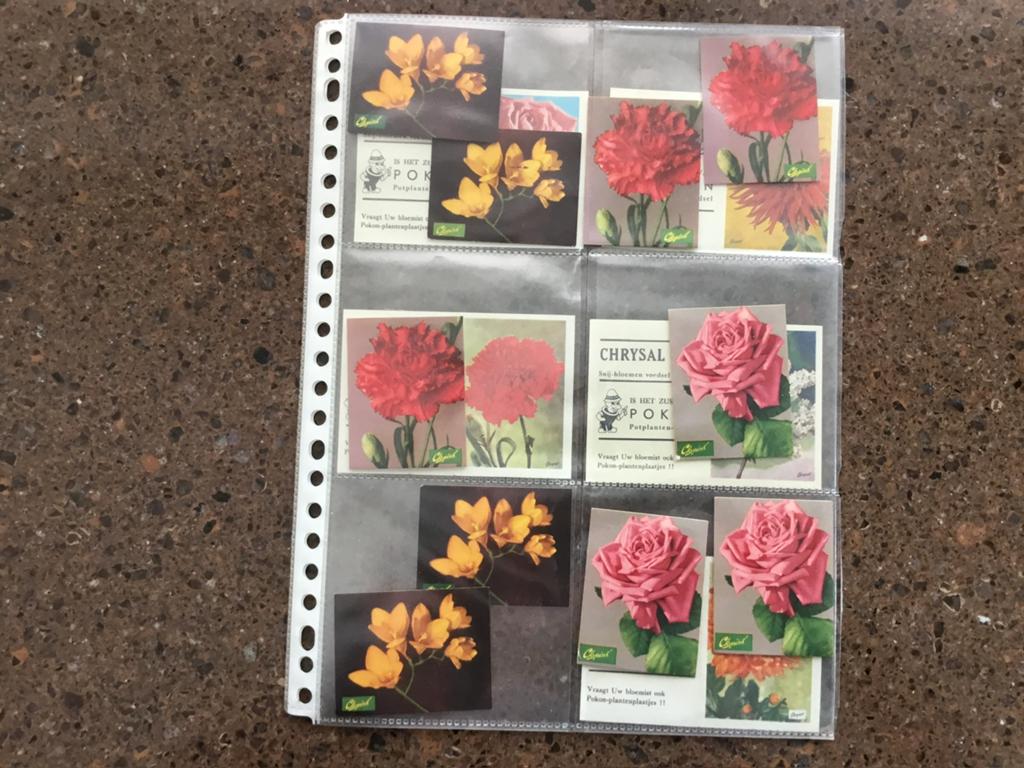 Grote verzameling Asef…Pokon. Bloemen plaatjes, Ophalen of Verzenden, Overige typen