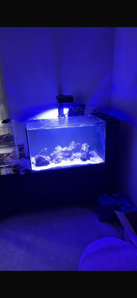 Penisula waterbox 50.3 liefst alles in 1 koop, Dieren en Toebehoren, Ophalen, Leeg aquarium