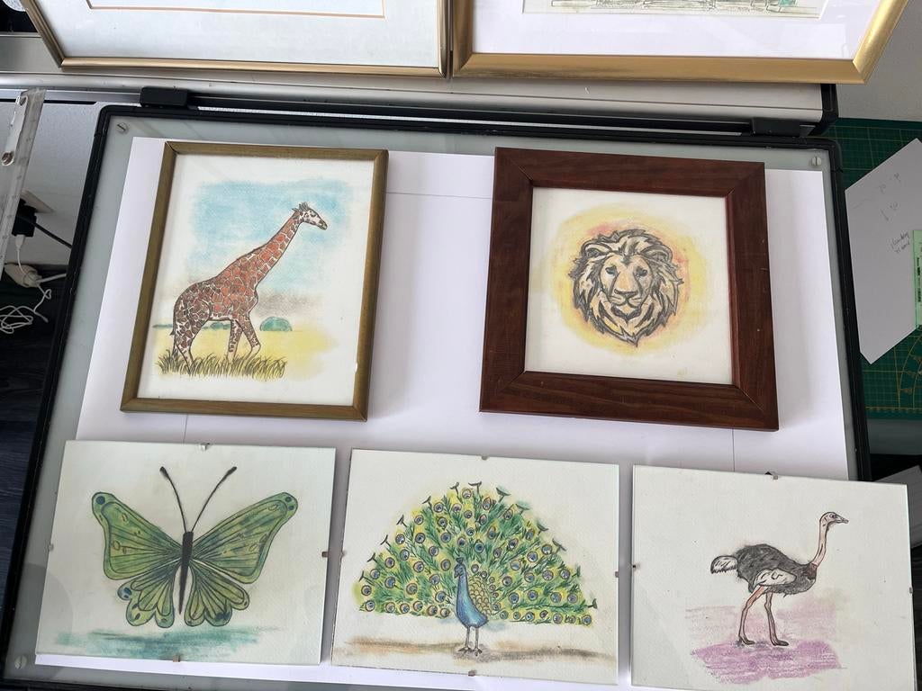 Dieren tekeningen voor kinderkamer, Ophalen of Verzenden