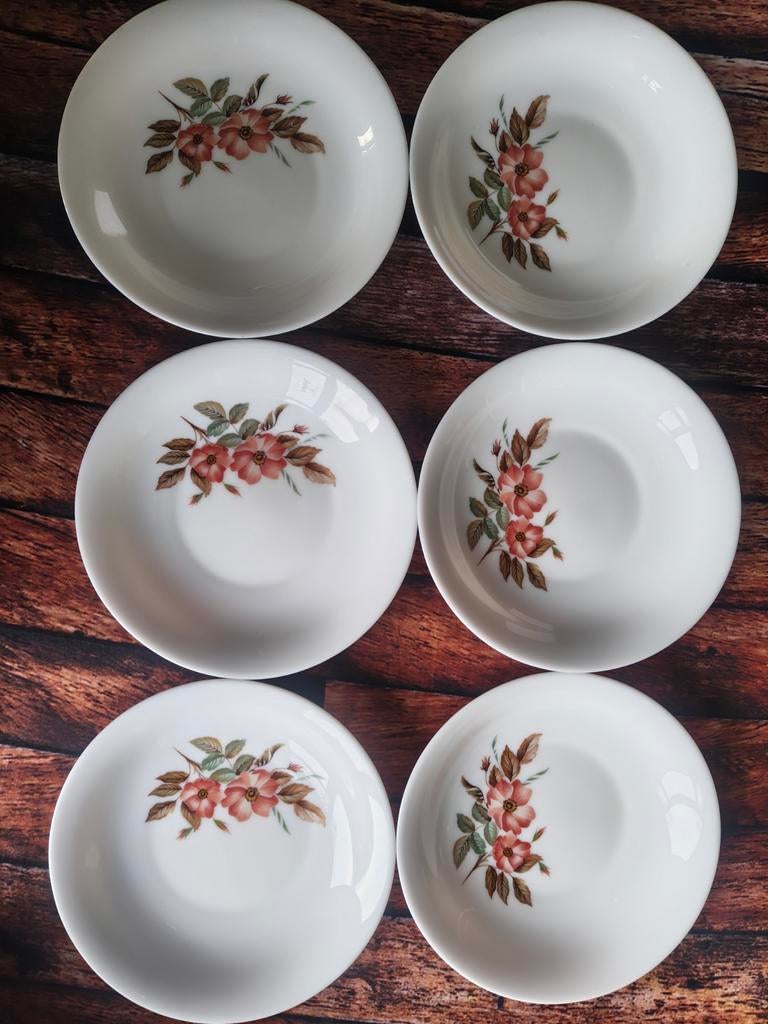 Zeldzaam! 6x Arcopal Vintage Opaline Borden met rode bloemen, Ophalen of Verzenden, Gebruikt, Overige stijlen, Bord(en)