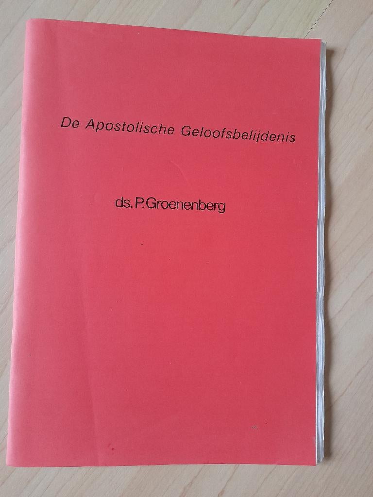 DE APOSTOLISCHE GELOOFSBELIJDENIS Ds P Groenenberg, Ophalen of Verzenden, Gelezen