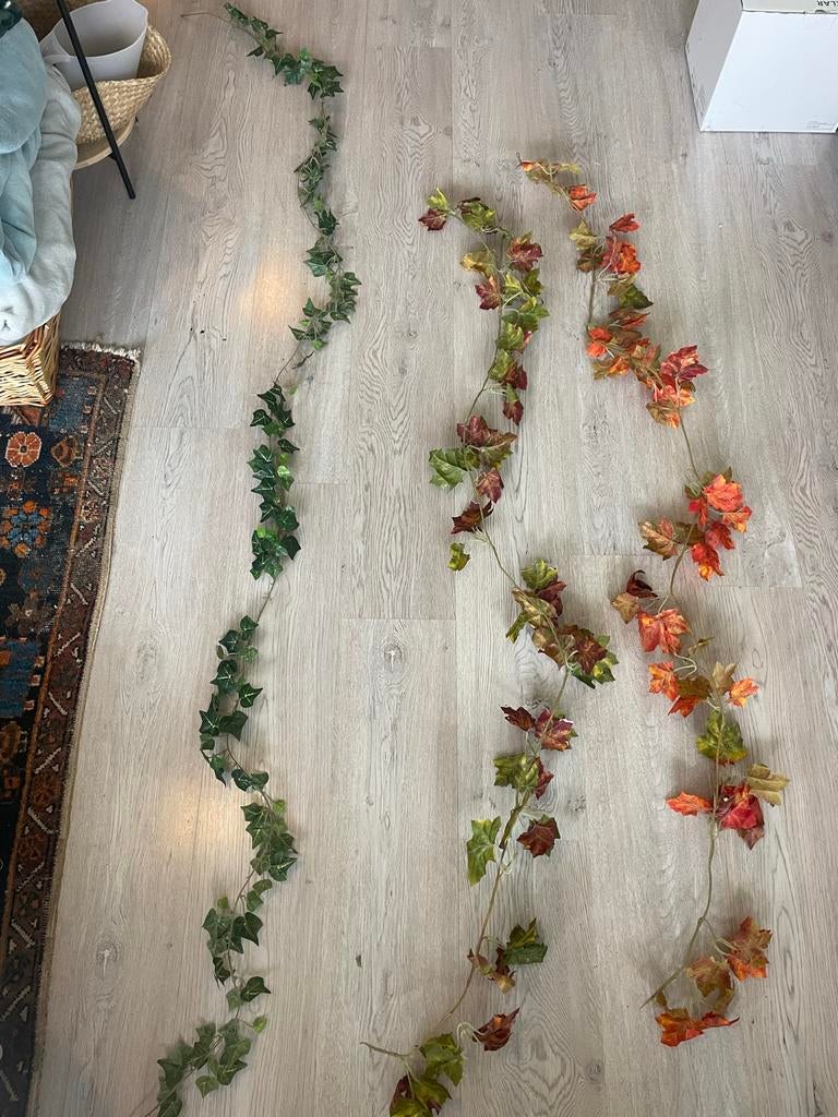Decoratieve Klimop Slingers - Nieuwstaat, Ophalen of Verzenden, Zo goed als nieuw, Binnen