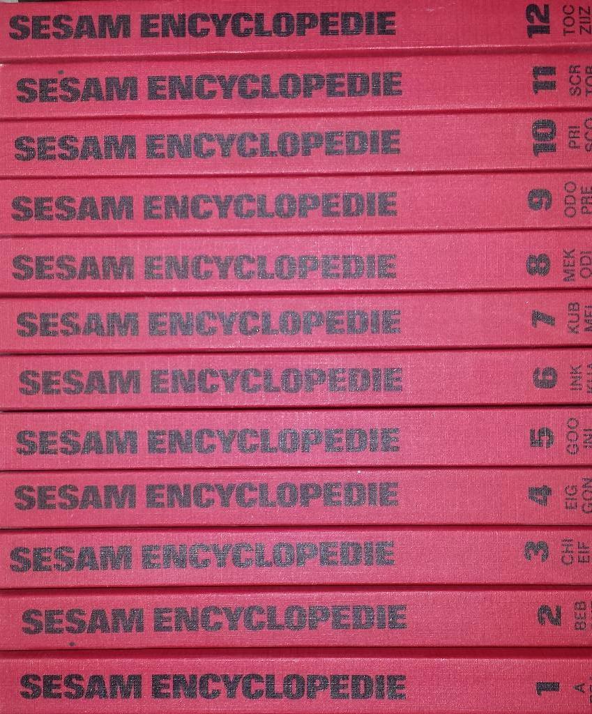 Sesam Encyclopedie (1970)   12 delen, Boeken, Encyclopedieën, Complete serie, Ophalen of Verzenden, Zo goed als nieuw, Algemeen