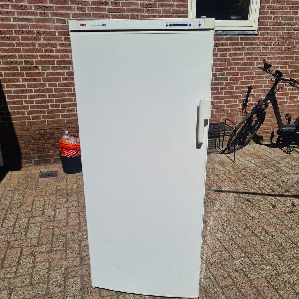 Bosch Economic Vriezer - Goede Staat, Gebruikt, 200 liter of meer, 60 cm of meer, Met aparte vriezer