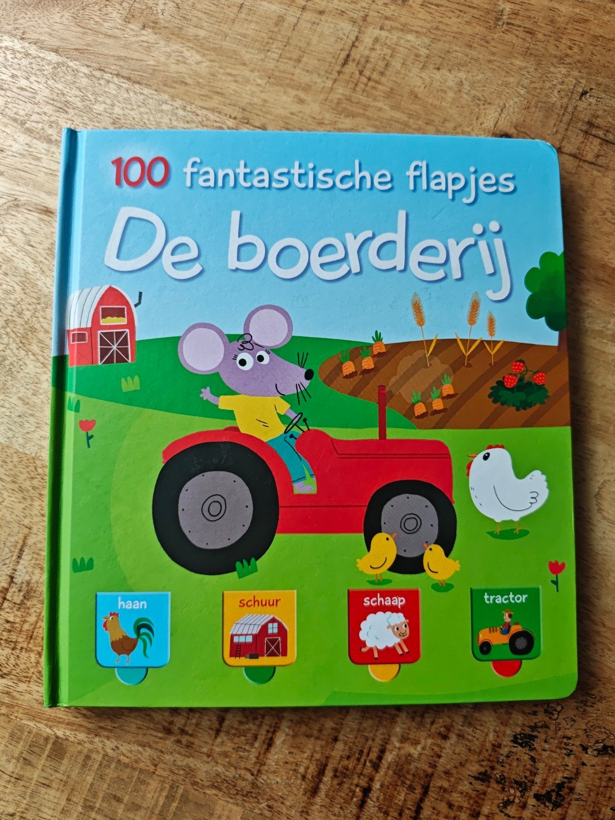 100 fantastische flapjes: De boerderij, Boeken, Non-fictie, Jongen of Meisje, Ophalen of Verzenden, Zo goed als nieuw