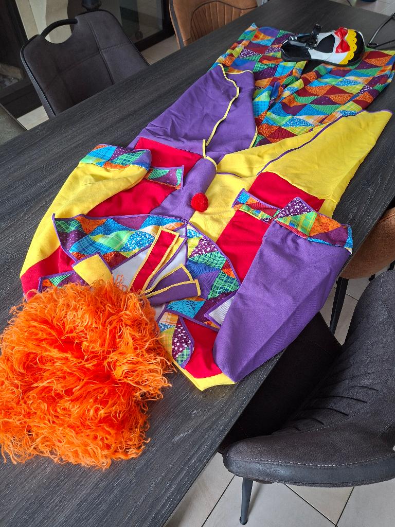 Carnaval, Kleding | Dames, Carnavalskleding en Feestkleding, Ophalen, Carnaval, Maat 46/48 (XL) of groter, Onbekend