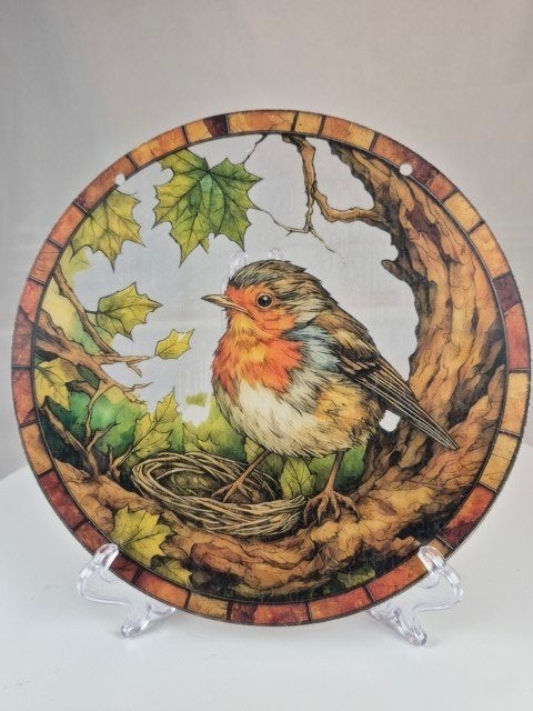 Raamhanger Roodborst bij nest, Ophalen of Verzenden, Nieuw