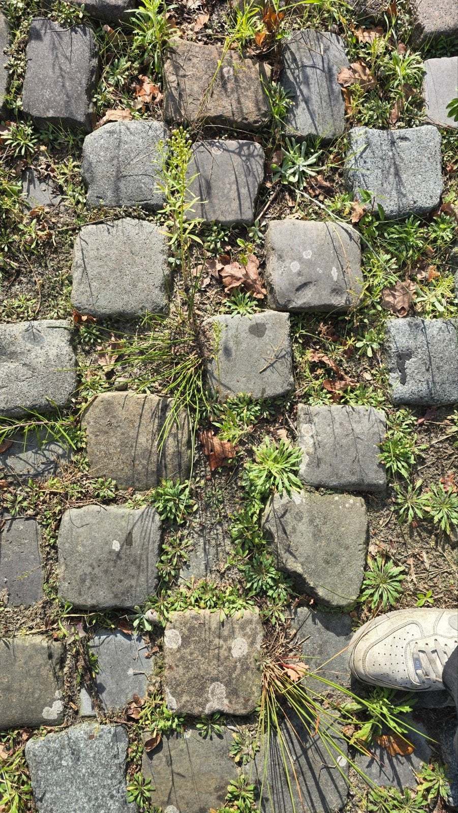 Kasseien ca 50m² gratis!, Ophalen, Gebruikt, Klinkers, Natuursteen