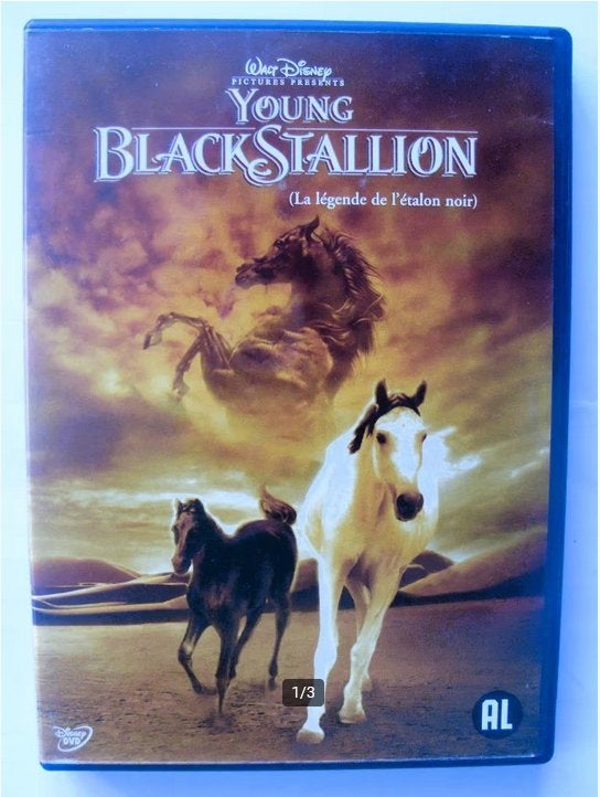 Young Black Stallion (originele dvd) Disney, Alle leeftijden, Ophalen of Verzenden, Zo goed als nieuw, Dieren