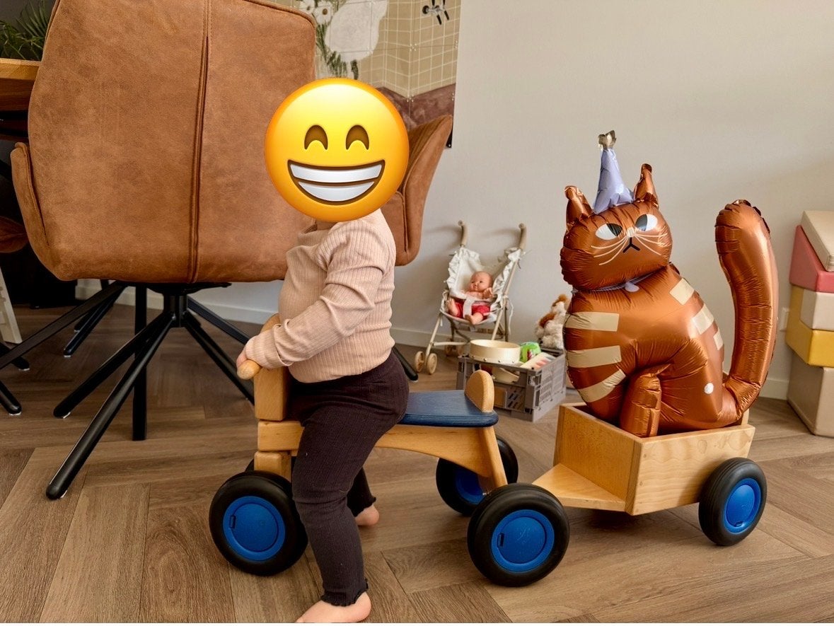 Van Dijk Toys houten loopfiets met kar, Ophalen, Gebruikt, Loopfiets