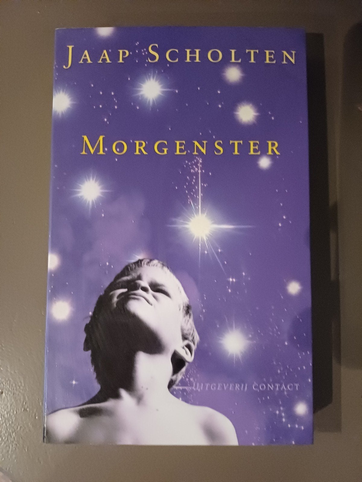 Morgenster - Jaap Scholten (roman), Ophalen of Verzenden, Zo goed als nieuw, Jaap Scholten, Nederland