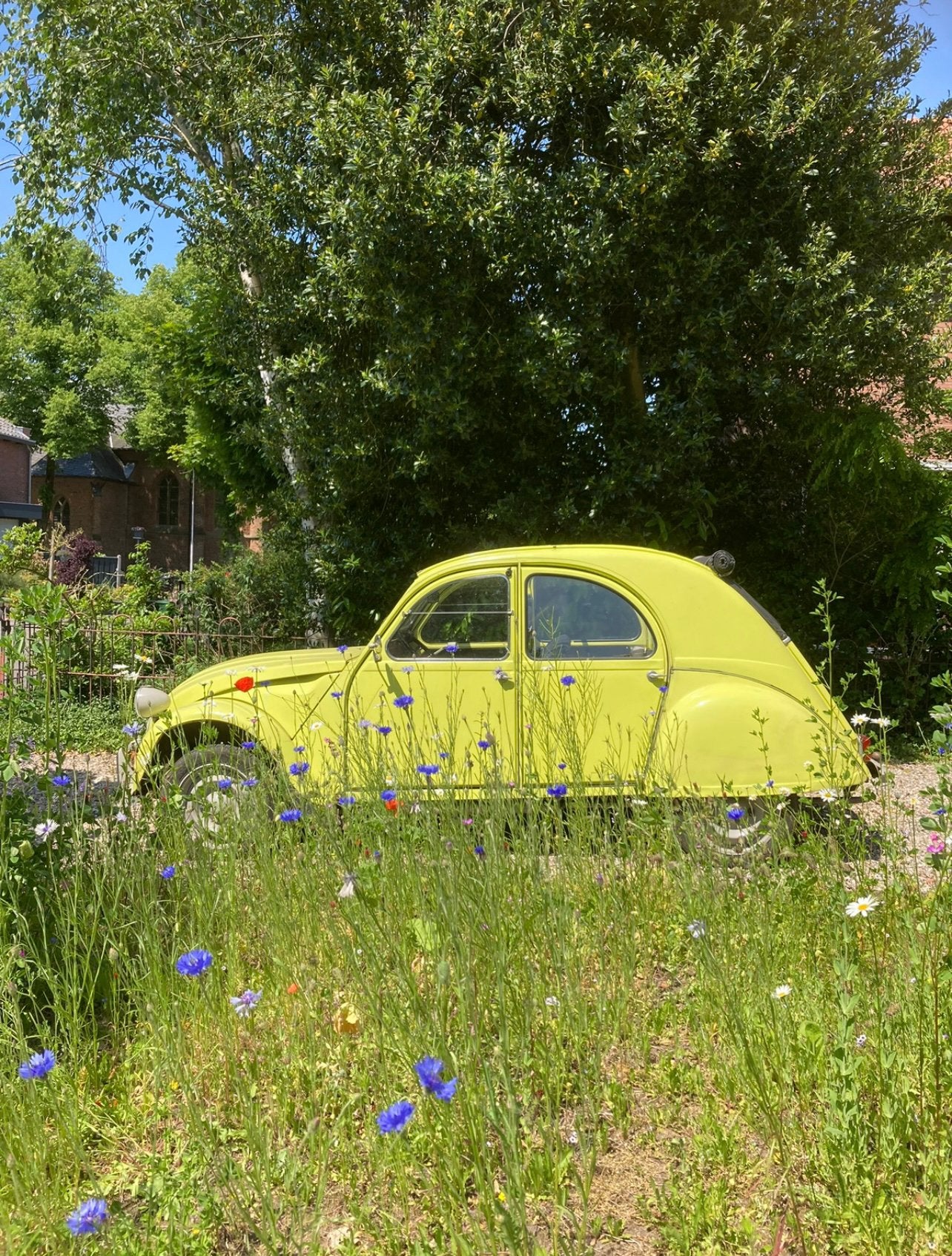 Citroën 2cv 1977 ZDZ (zonder derde zijruit), Auto's, Overige kleuren, Handgeschakeld, Particulier, Sedan