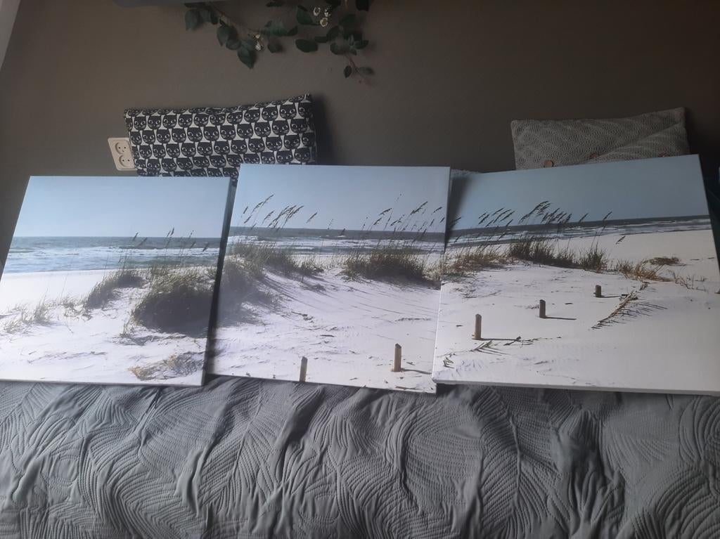 3-luik Canvas Schilderij Strand Zeezicht 50x50cm per canvas, Ophalen, Gebruikt, 50 tot 75 cm, Print